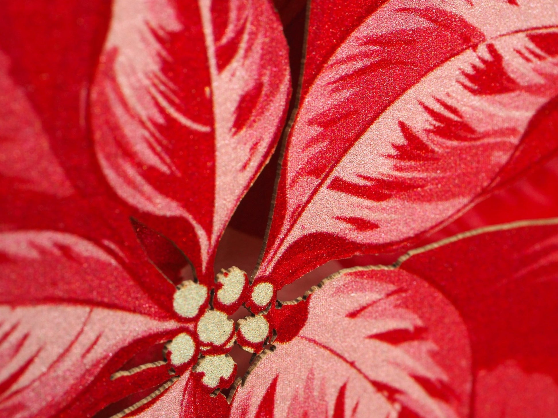 Poinsettia flower Christmas paper pop up model. Box 3d laser cut flower. Xmas decor. Popup kirigami gift. - ColibriGift