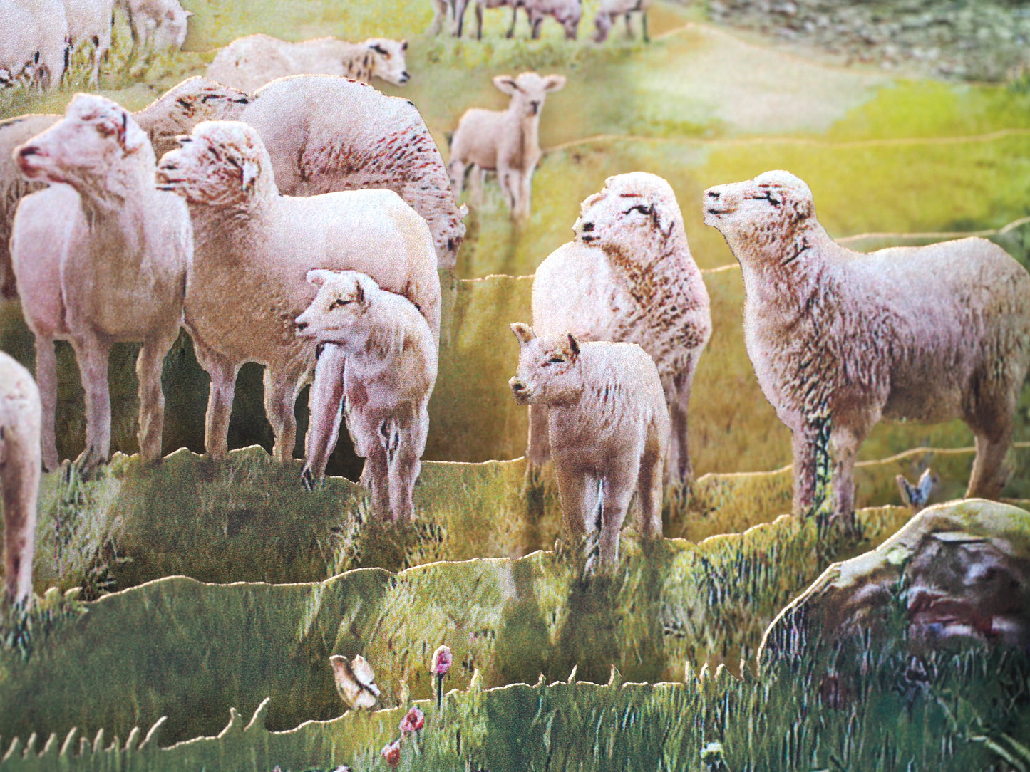 Jesus with Lambs pop up card