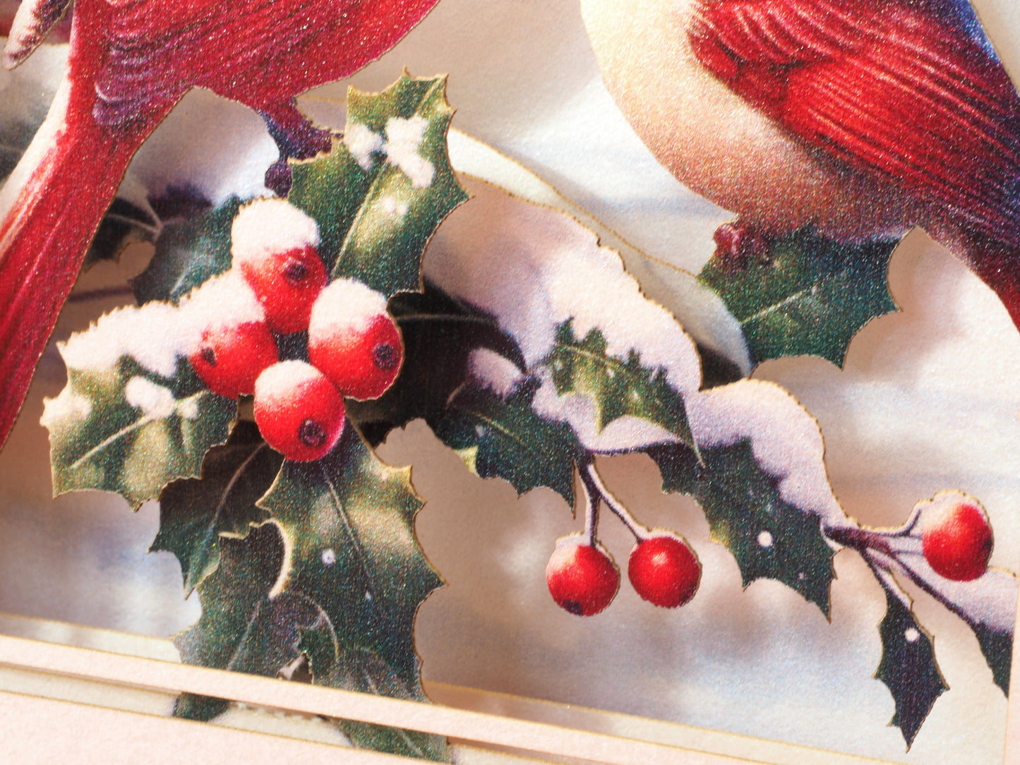 Red Cardinals Christmas greeting card