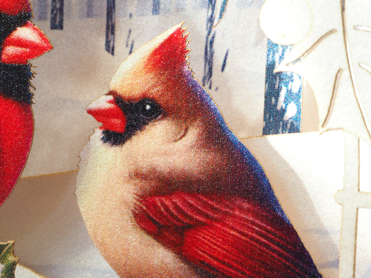 Red Cardinals Christmas greeting card