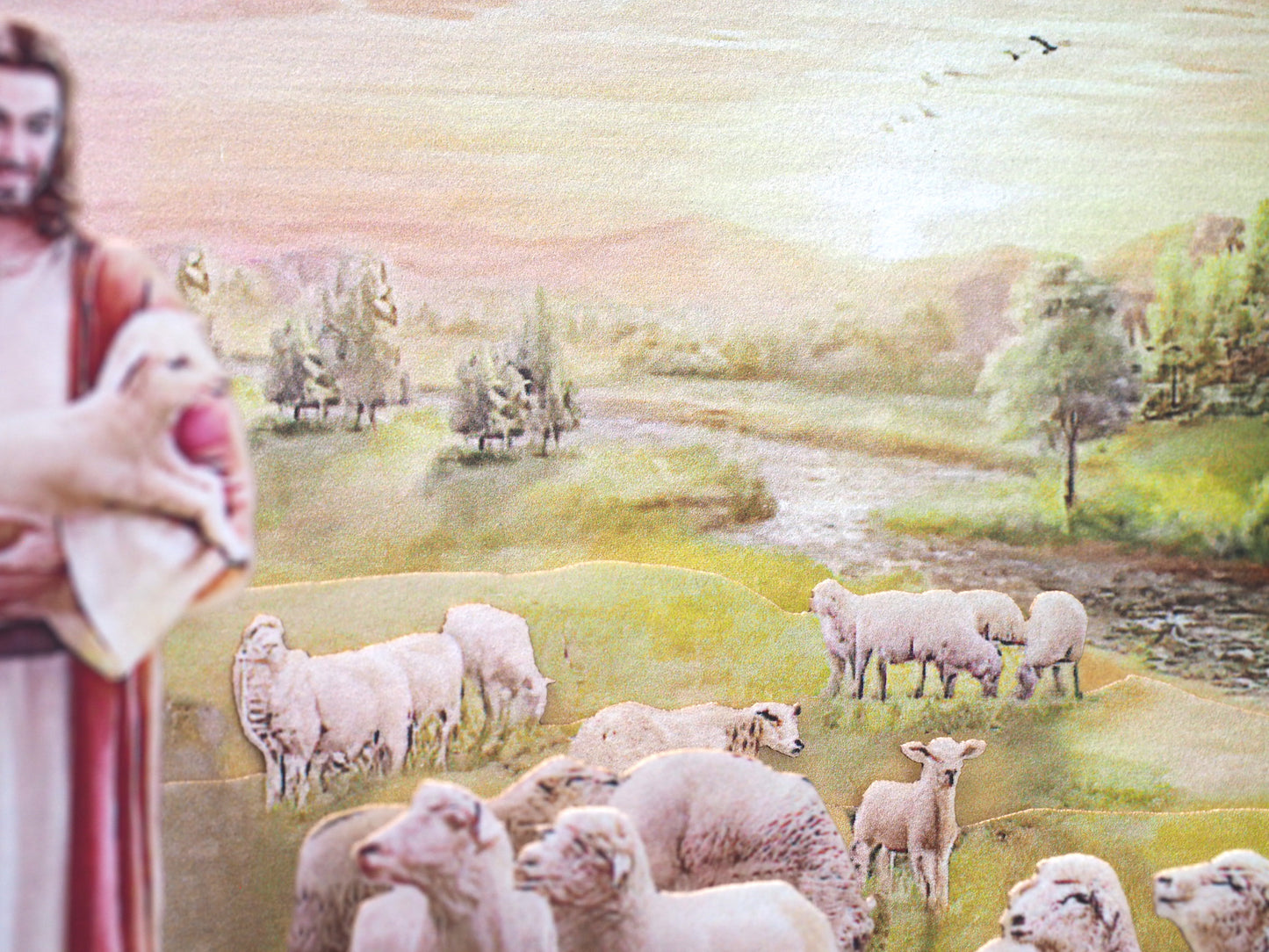 Jesus with Lambs pop up paper card, box folds flat